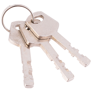 CC Kłódka trzpieniowa 70mm x 20mm x 12mm